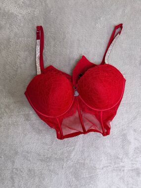 Victoria’s Secret Red Lace Longline Push-Up Bra Bustier 38D